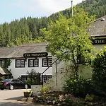 The Pheasant - The Collection Group