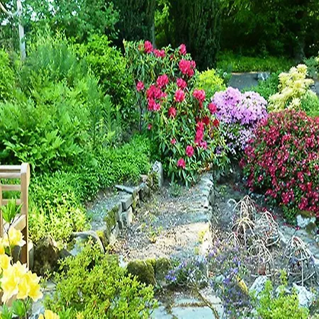 Inn The Pheasant - The Collection Group Bassenthwaite