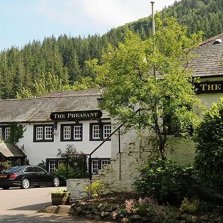 The Pheasant - The Collection Group
