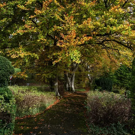 The Pheasant - The Collection Group Inn