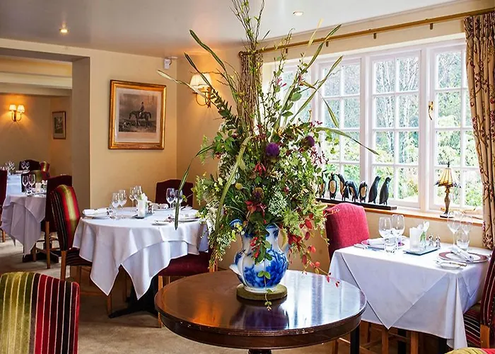 The Pheasant - The Collection Group