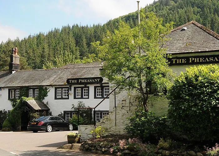 The Pheasant - The Collection Group