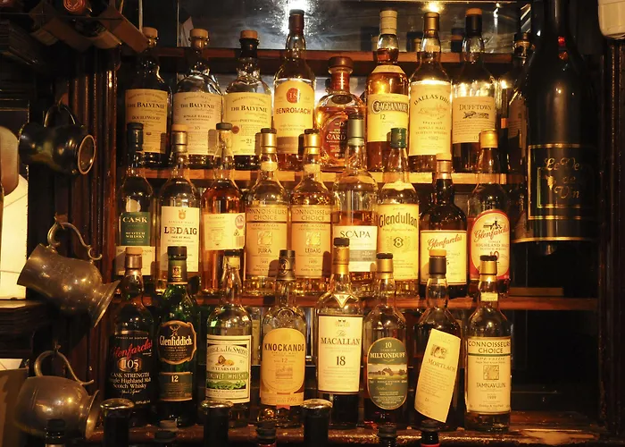 The Pheasant - The Collection Group