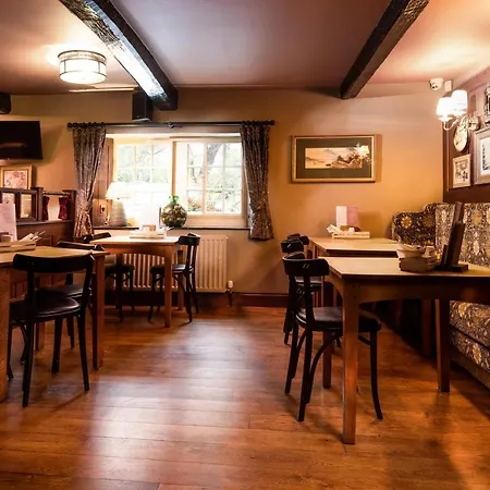 The Pheasant - The Collection Group