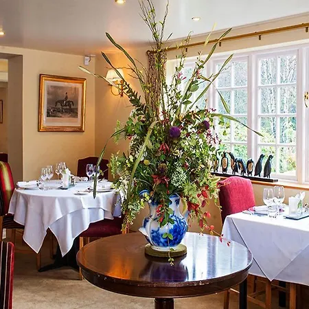 The Pheasant - The Collection Group